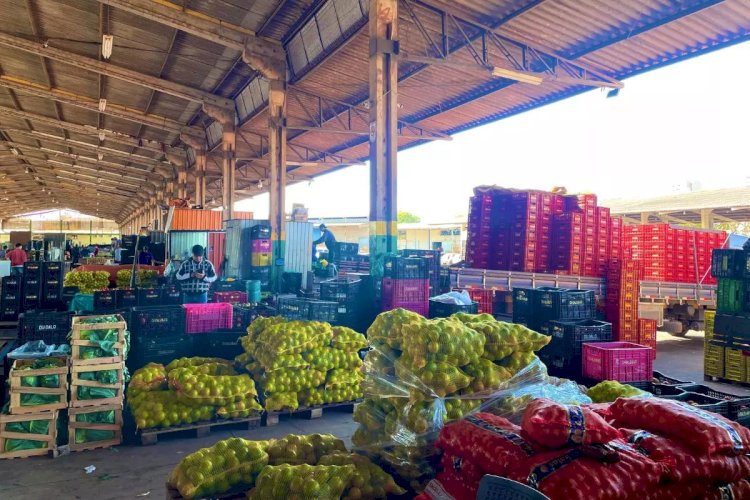 Produção cresce 18,78% e movimenta 16,9 mil toneladas de hortifrutigranjeiros na Ceasa/MS
