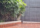 Chuva chega fraca, mas previsão indica tempestades em todo MS