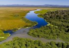 Fazendeiros e ICM Bio debatem criação de refúgio da vida silvestre no Pantanal