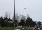 Névoa, neblina ou cerração? Entenda o fenômeno que reduz a visibilidade no frio