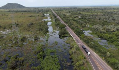 Áreas alagadas no Pantanal diminuíram 75% em 40 anos; 2024 foi o mais seco da história