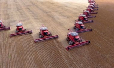 Dados do IBGE apontam que MS tem 2º maior crescimento do país, mas PIB segue como o 15º