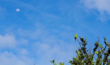 Quarta-feira será de tempo firme em MS, mas pancadas de chuva não são descartadas