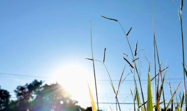 Alerta de chuvas intensas atinge MS em meio a calorão no pré-feriado