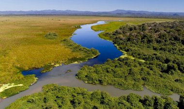 Fazendeiros e ICM Bio debatem criação de refúgio da vida silvestre no Pantanal
