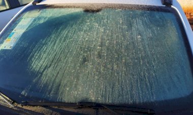 Região sul de MS registra mínima de 0ºC e geada na madrugada desta quinta-feira