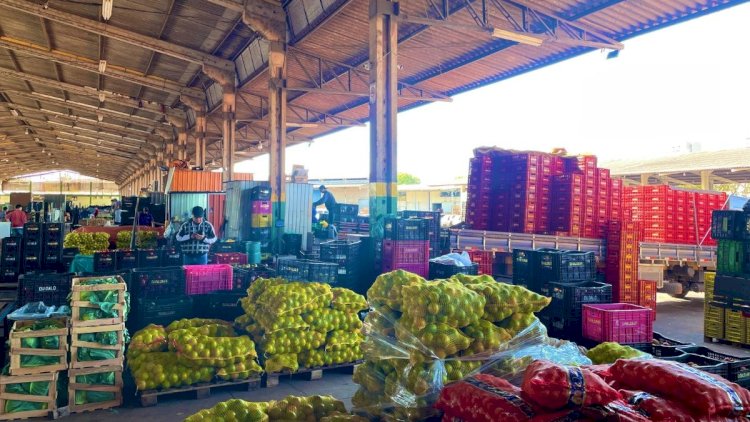 Frutas lideram vendas em mais de 46