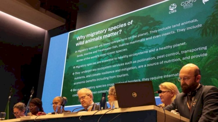 Brasil ficará a frente da COP15 até 2028 e está de olho em parcerias com EUA e Rússia